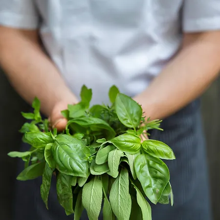 宜必思洛迦诺酒店 3* 洛迦诺